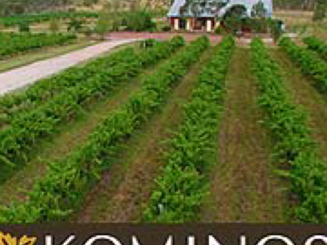 KOMINOS Wines景点图片