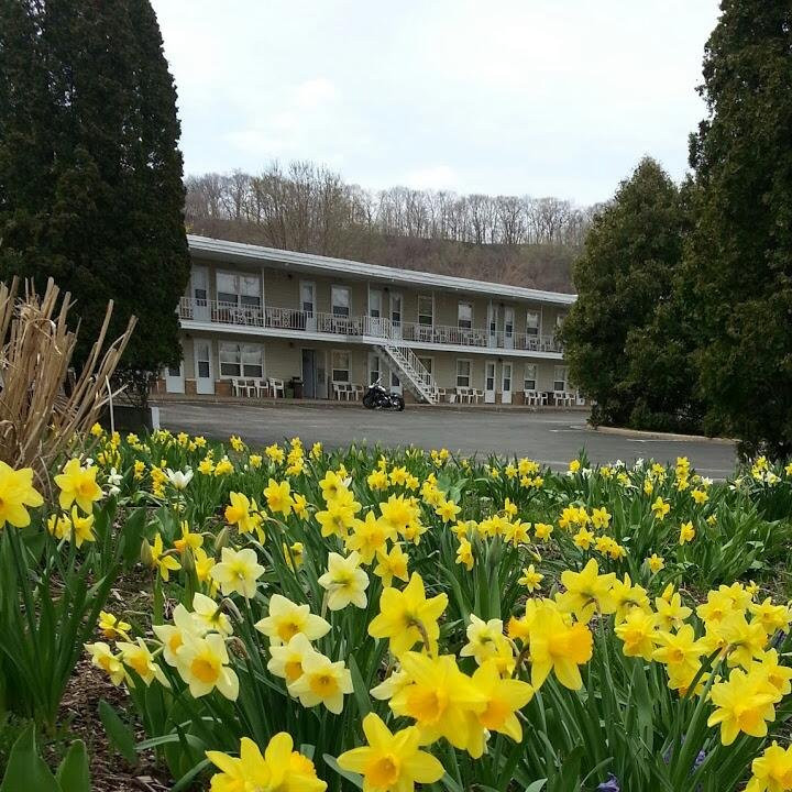 Frontier Motel主图