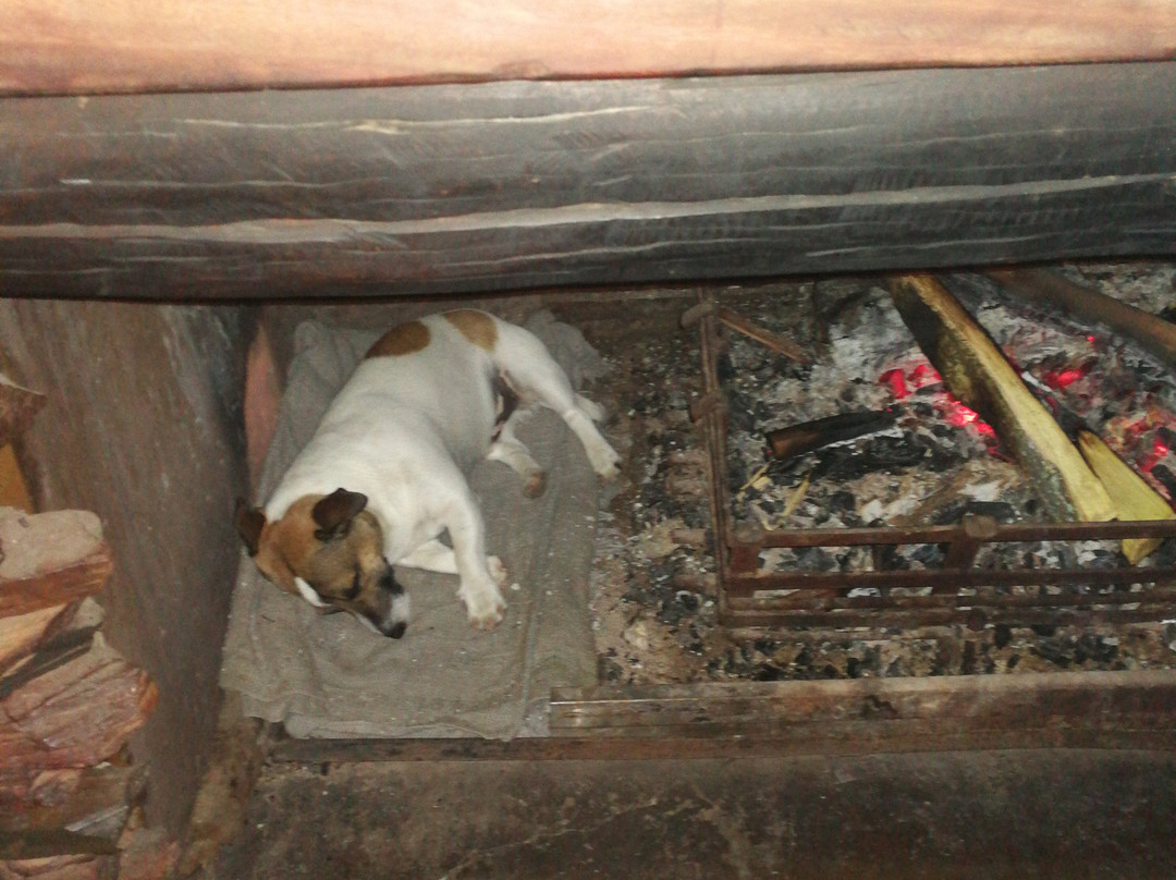 Shabanga Guest Farm主图