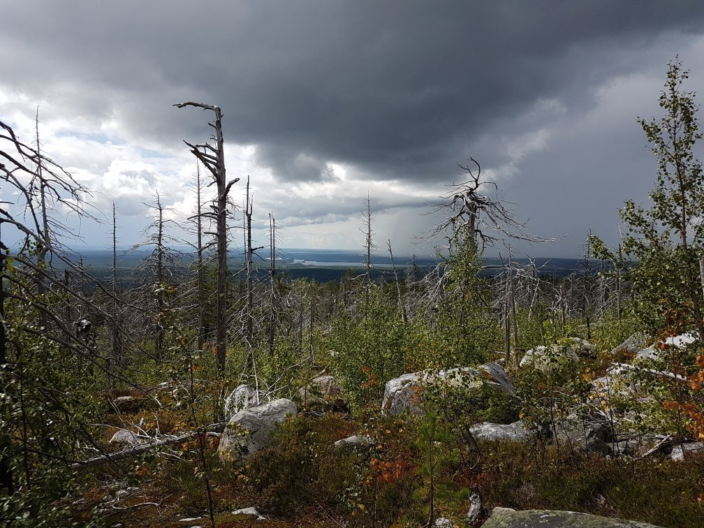 Vottovaara Mountain景点图片