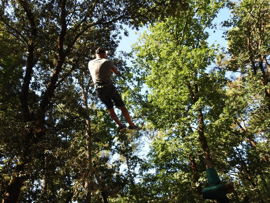 Indian Forest景点图片