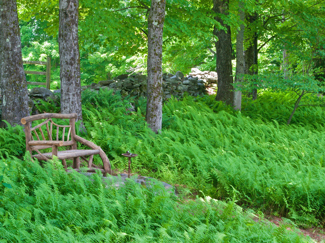 Distant Hill Gardens-Walpole必去景点
