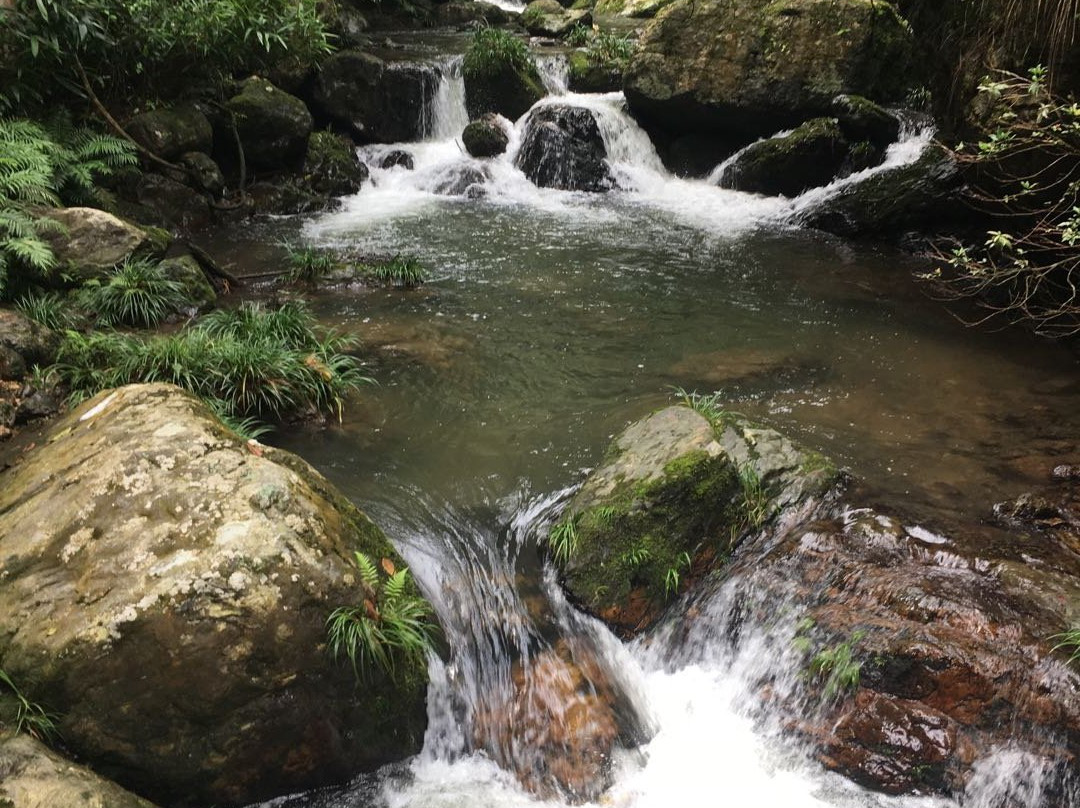 寨市古镇-绥宁县必去景点