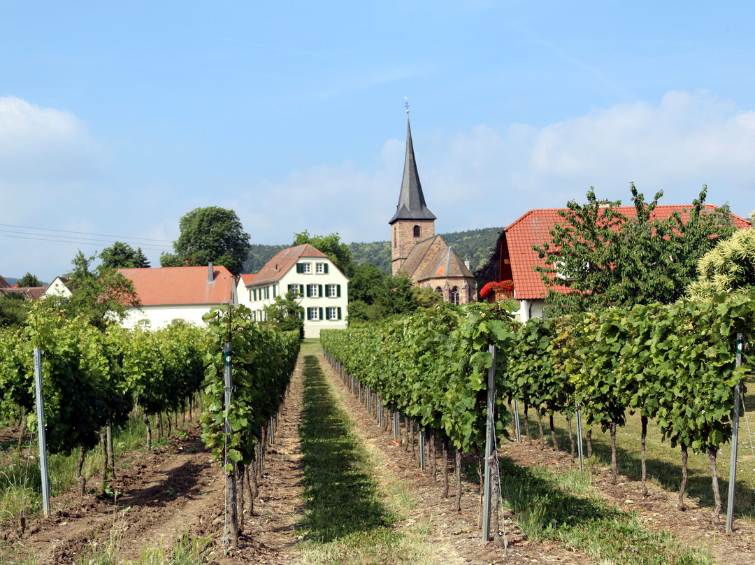 Weisenheim am Berg旅游攻略图片