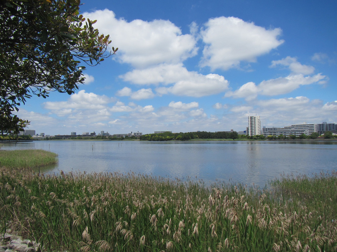 Yatsu Tidal Flats-习志野市必去景点