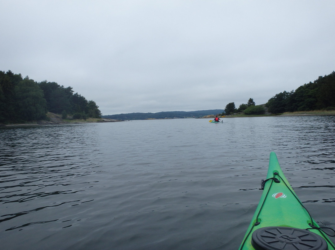 Kayak in Grundsund景点图片