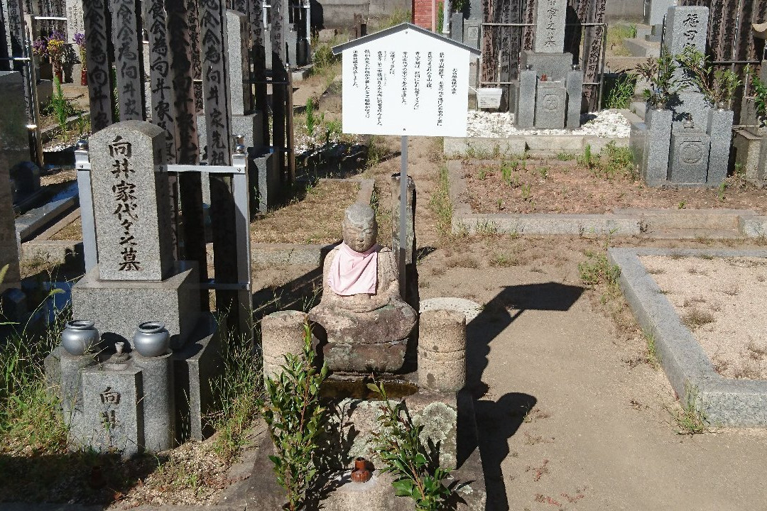 Soyo-ji Temple-和歌山市必去景点
