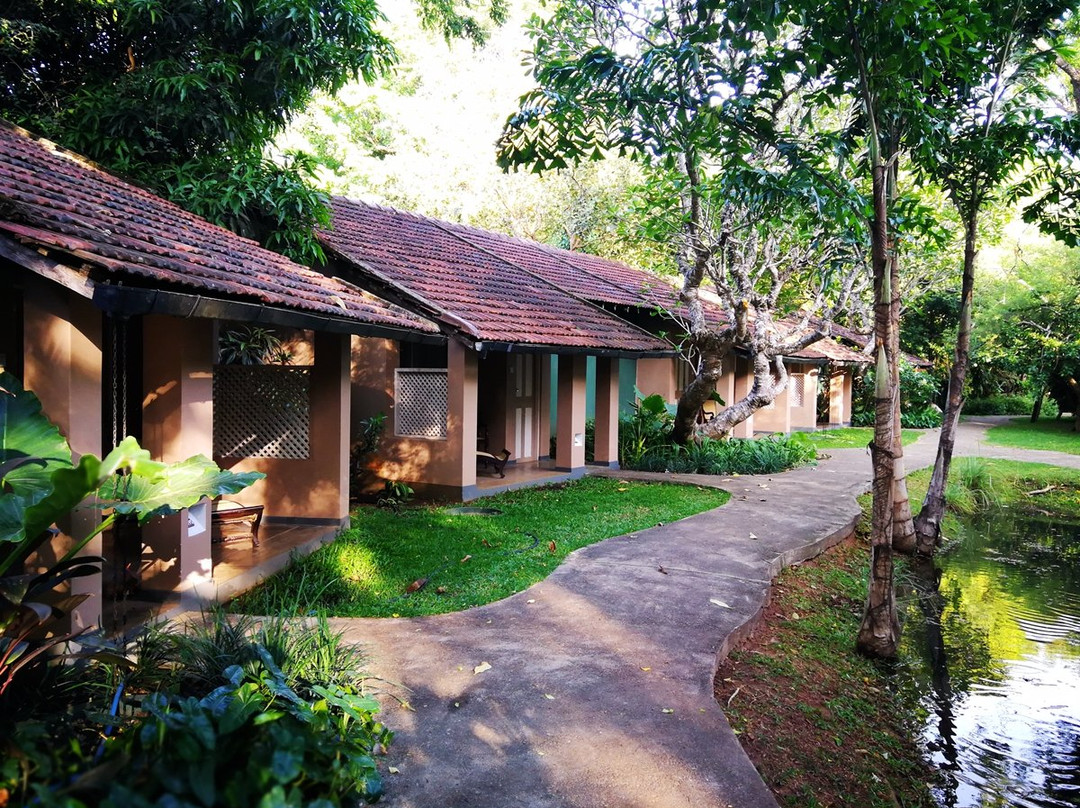 锡吉里亚村酒店主图