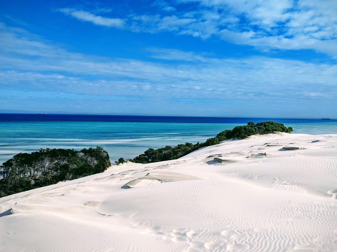 Moreton Bay Holidays Afloat景点图片