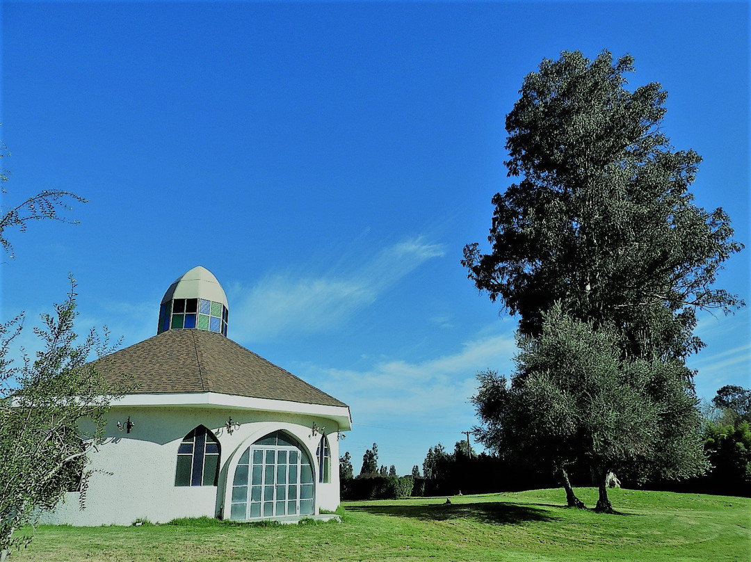 罗莎阿古斯蒂纳会议度假及spa酒店主图