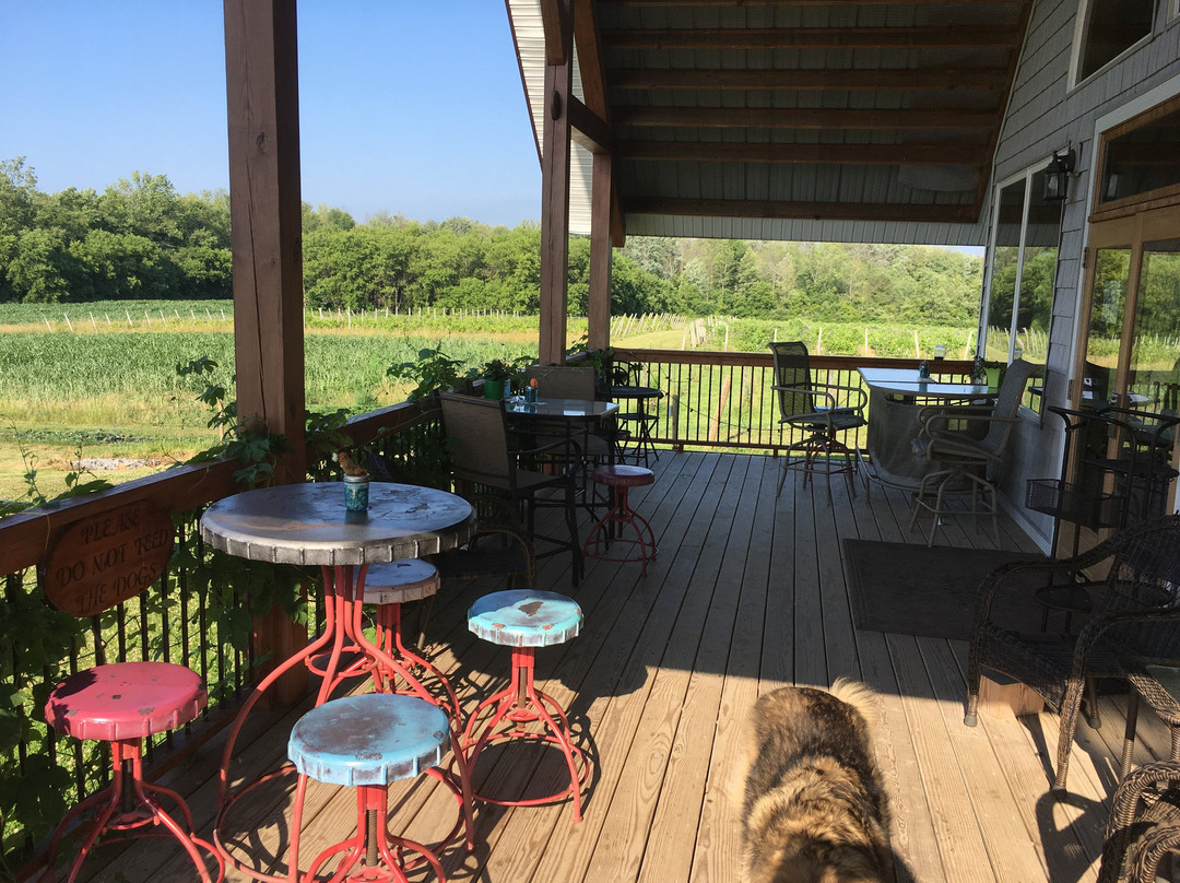 Five Sons Winery & RG Brewery景点图片