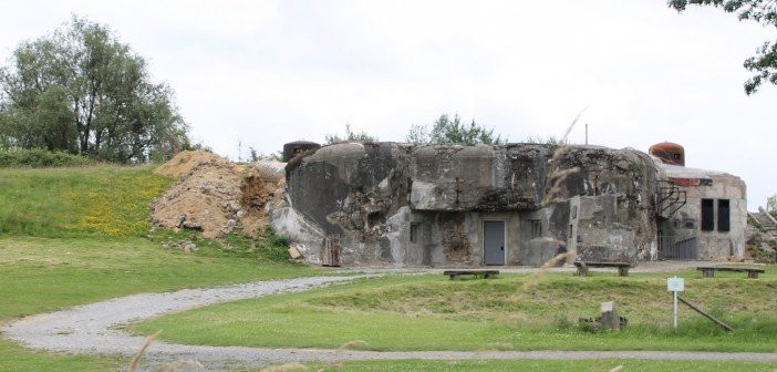 Le Fort de la Salmagne景点图片