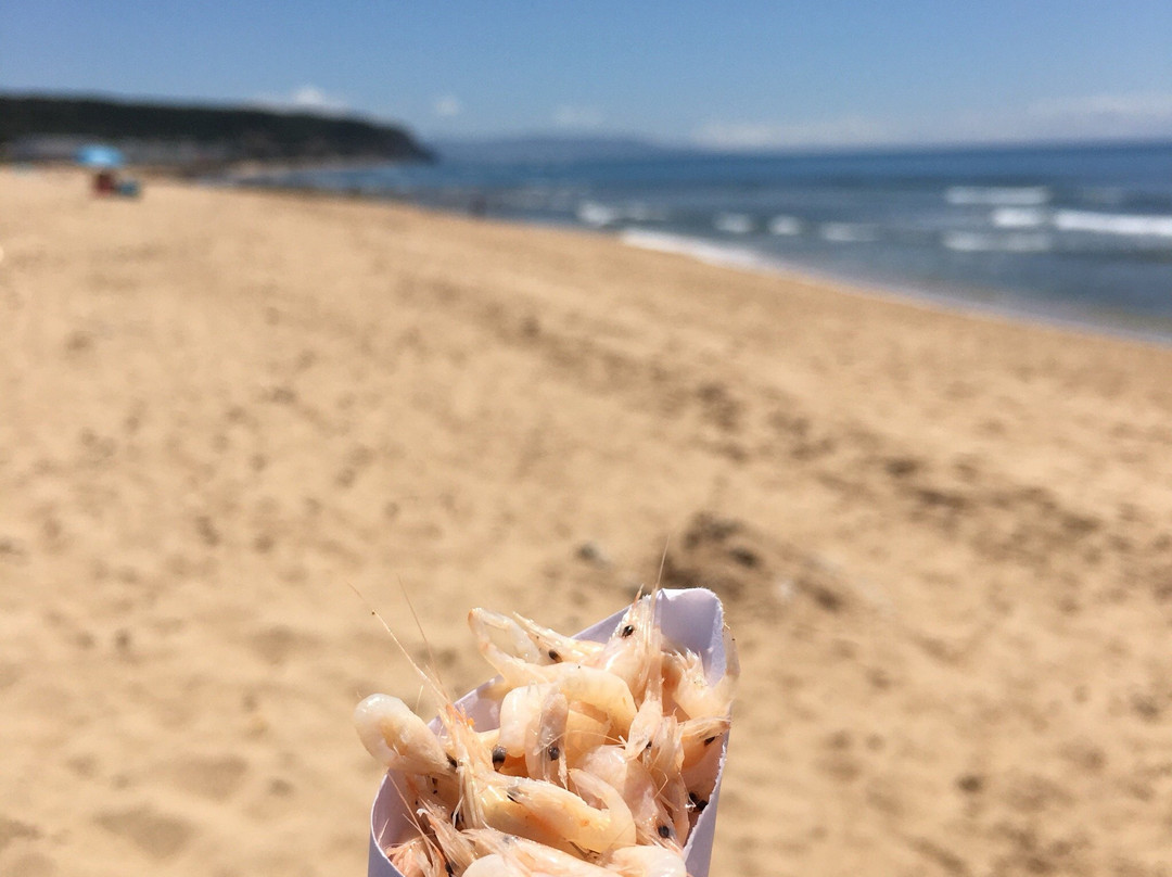 Las Playas de Caños de Meca景点图片