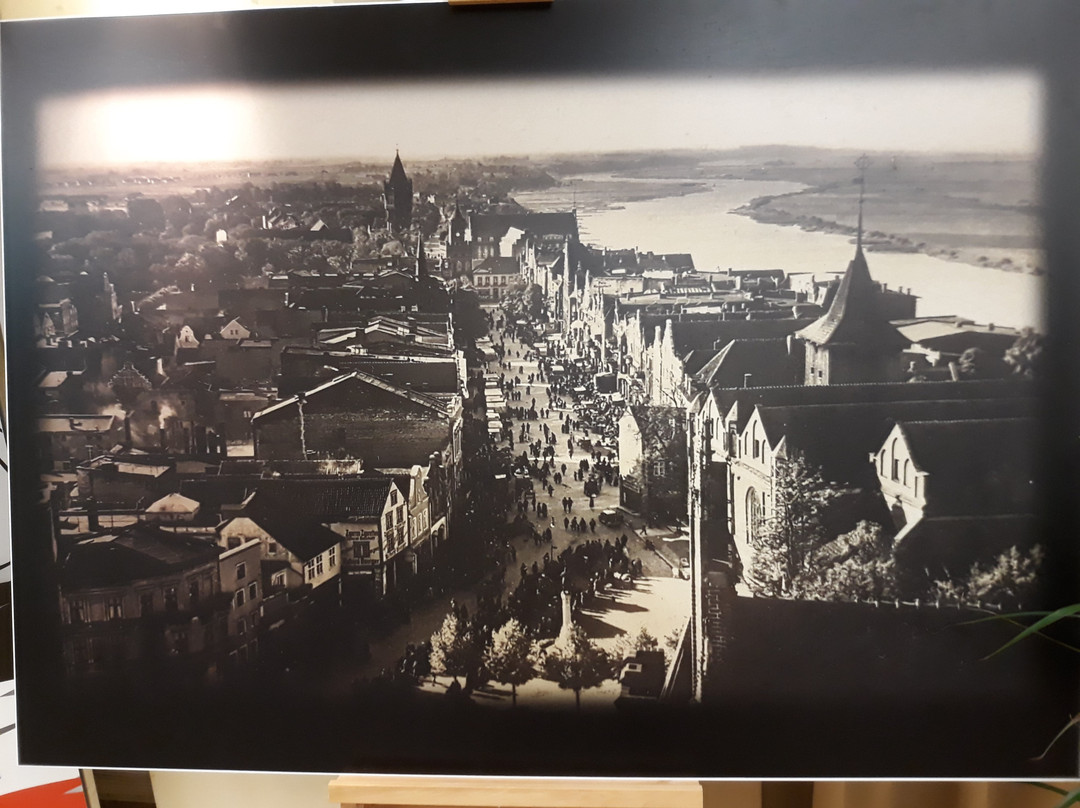 Muzeum Miasta Malborka景点图片