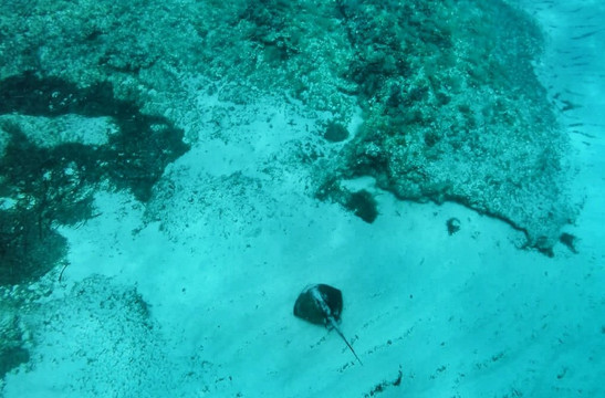 La Santa Maria Excursions-卡拉多尔必去景点