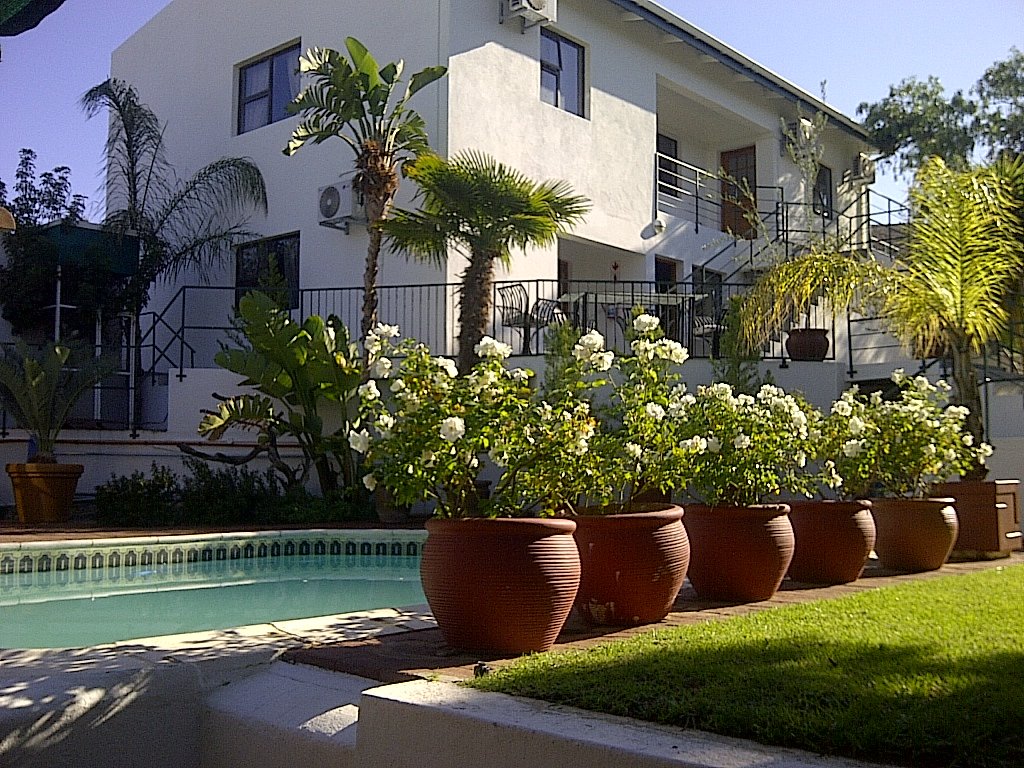 The Olive Tree Guest House-官方