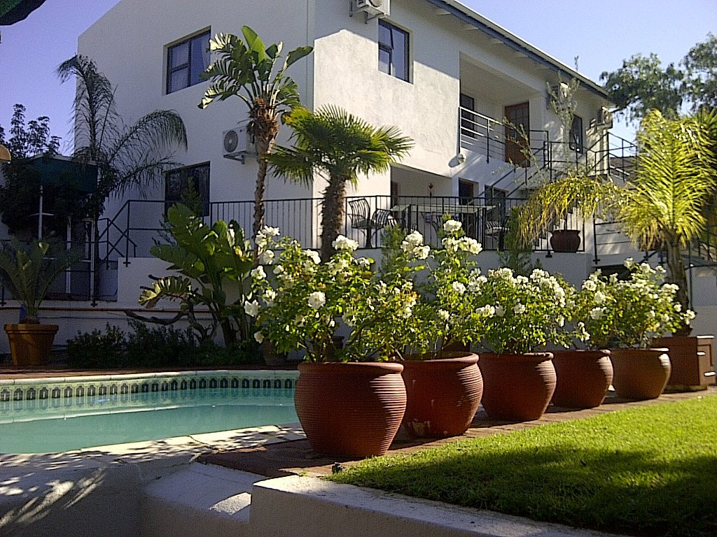 欧吉普酒店住宿-The Olive Tree Guest House