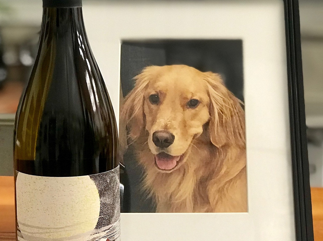 Winescape Winery-斯波坎必去景点