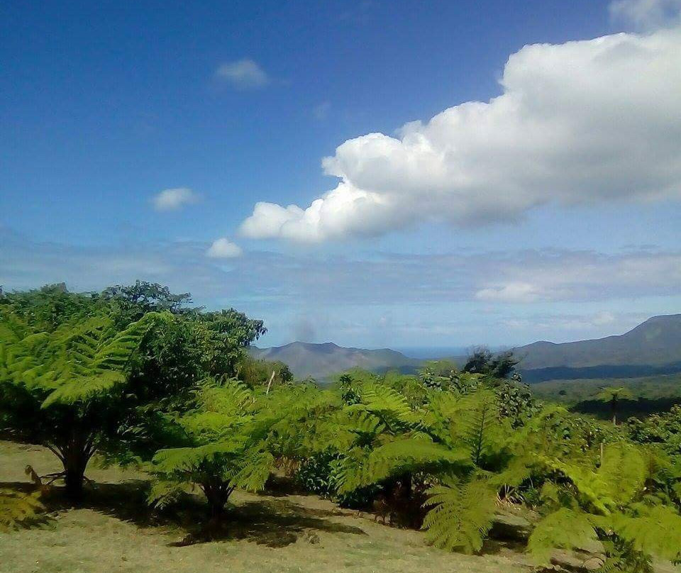 Tanna Top View Bungalows主图