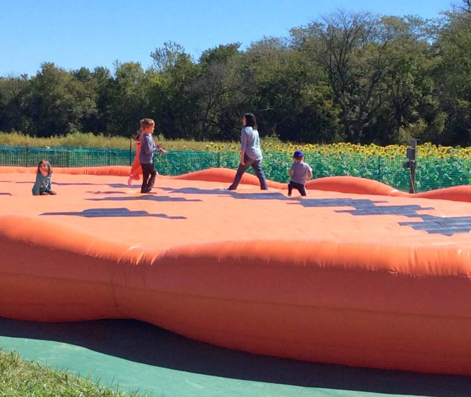 Baldwin City旅游景点-Gieringer's Family Orchard & Berry Farm