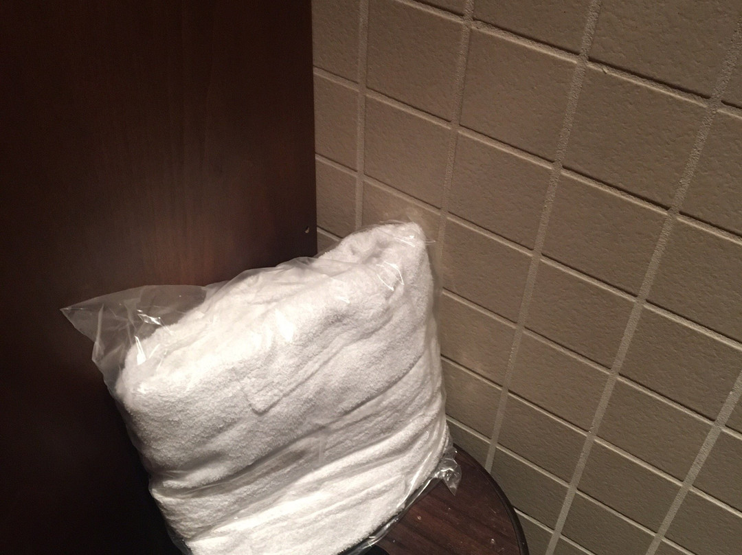 Baden Baden Bagno Romano-蒙特西尔瓦诺必去景点