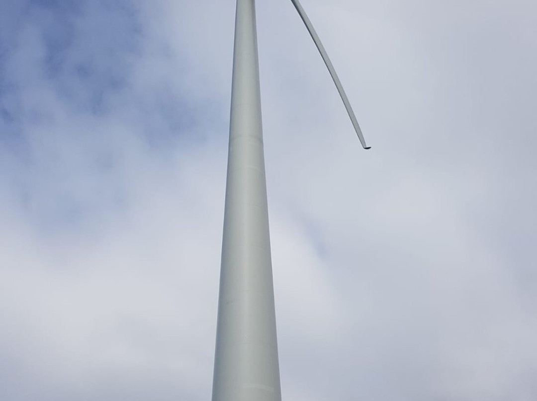Wellington Wind Turbine景点图片