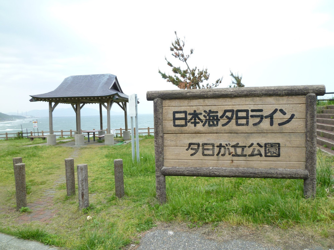 Yuhigaoka Park景点图片