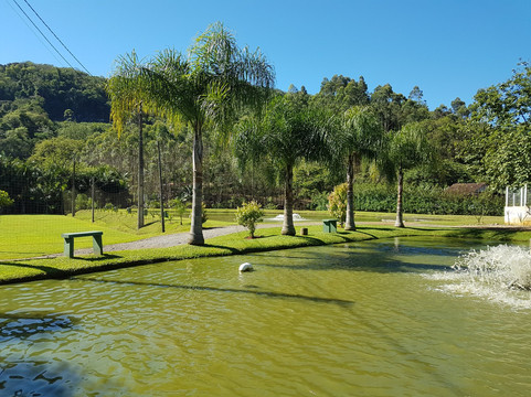 Massaranduba餐馆和美食-Pesque Pague Restaurante Dori