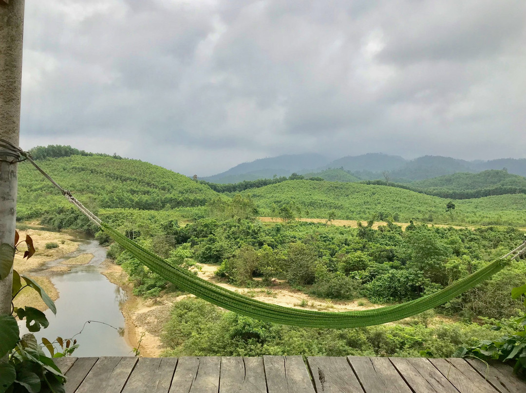 Nông Trại Cường Rừng主图
