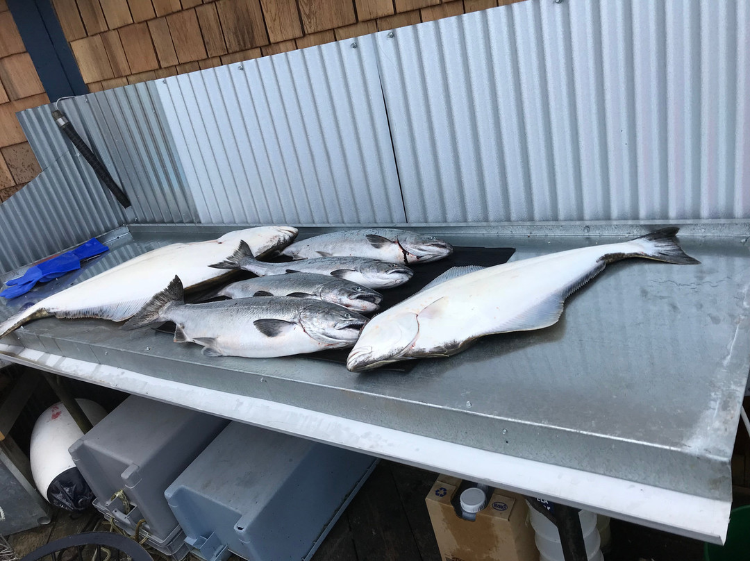Salty Dog Fishing Charters景点图片