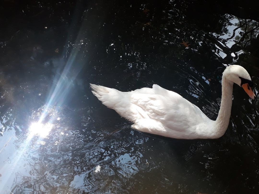 Petmasters Bird Park景点图片