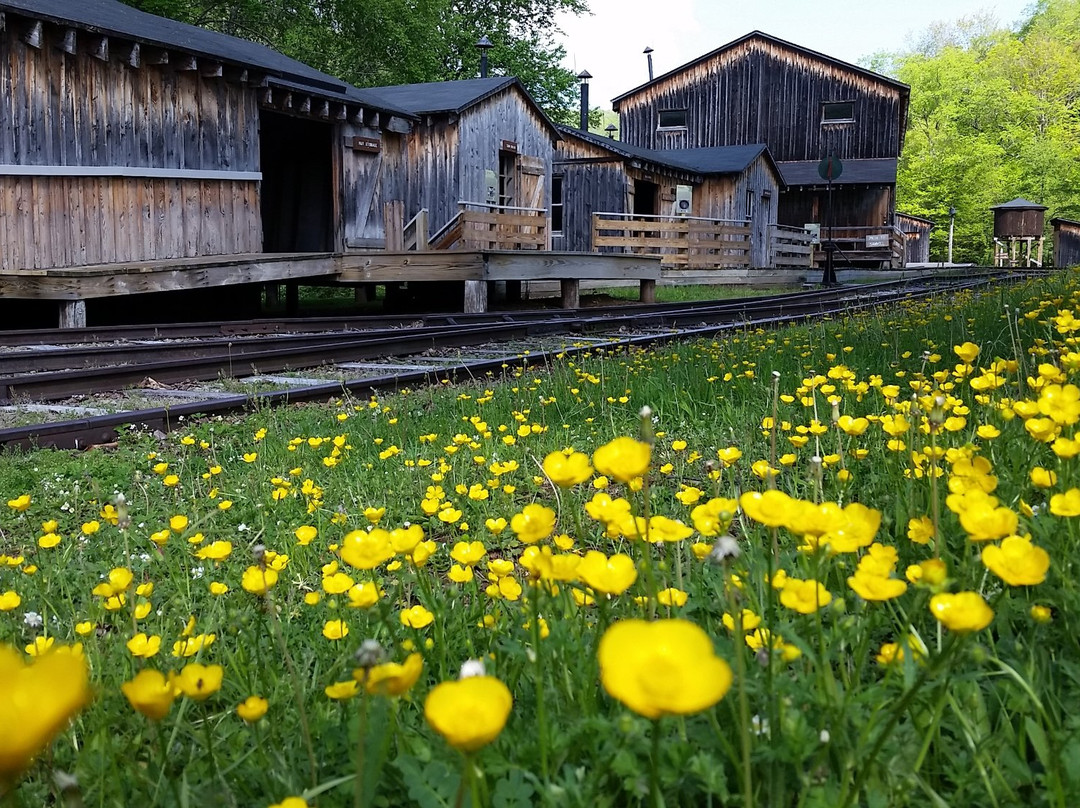 Pennsylvania Lumber Museum景点图片