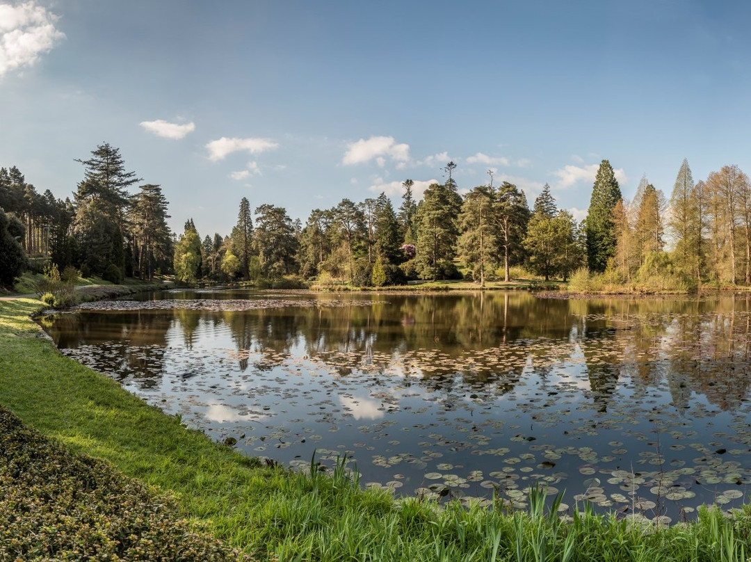 Bedgebury National Pinetum And Forest景点图片
