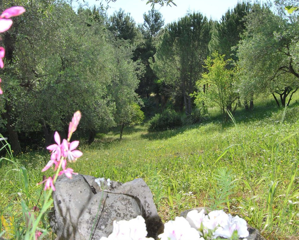 B&B Casale Dei Lauri Gargano主图