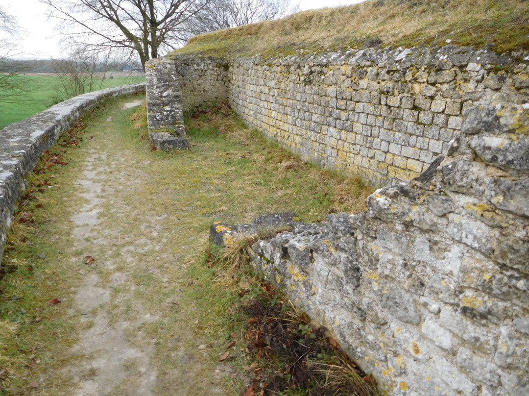 Ruines Gallo-Romaines de Champlieu景点图片