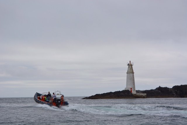 Schull Sea Safari景点图片