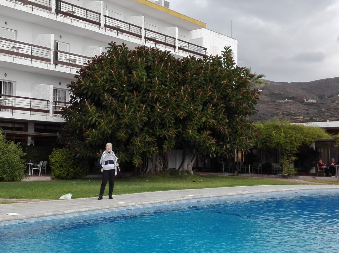 Hotel Salobrena主图