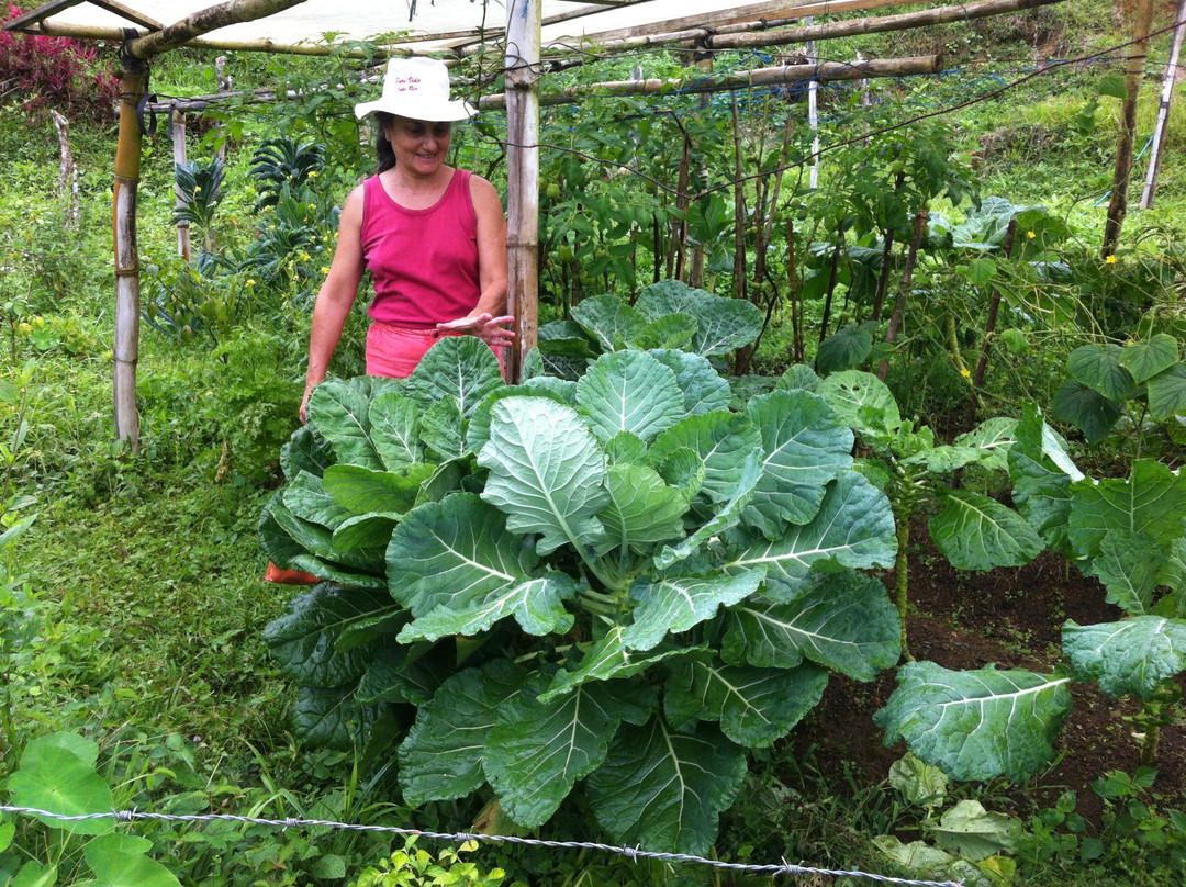 Casa Tordesillas主图