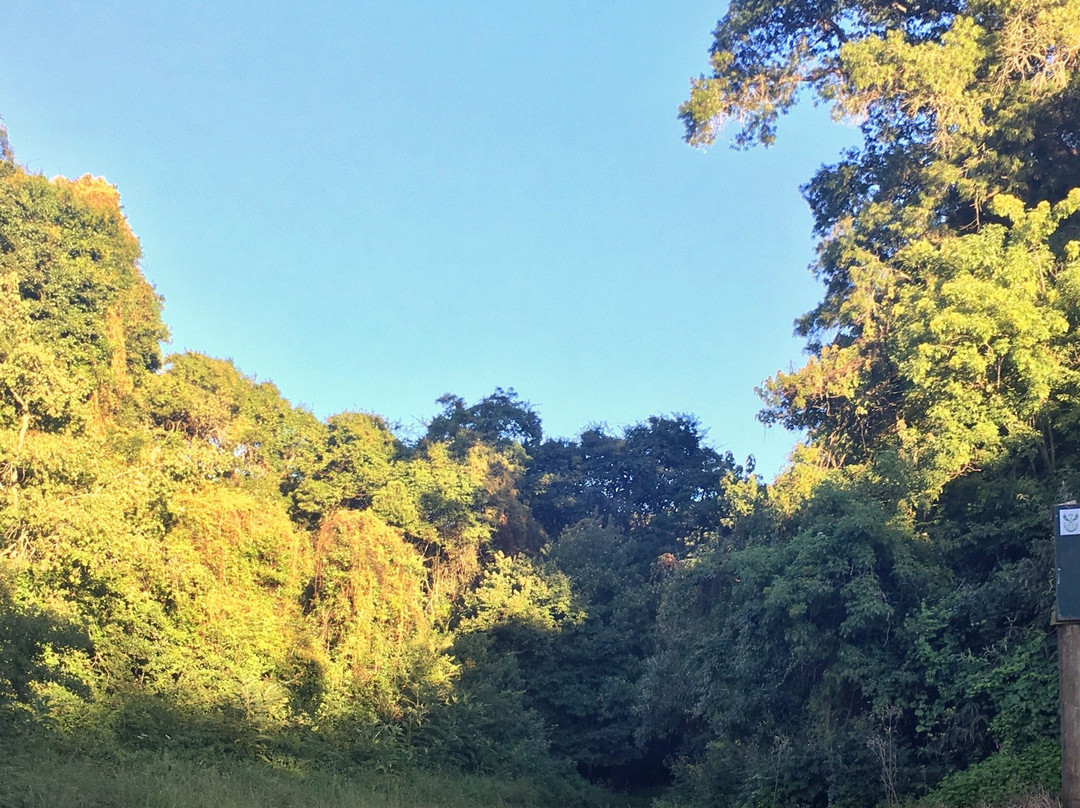安德堡旅游景点-Xumeni Forest