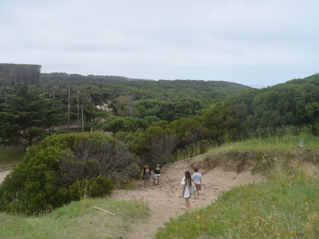 Bosque del Vivero景点图片