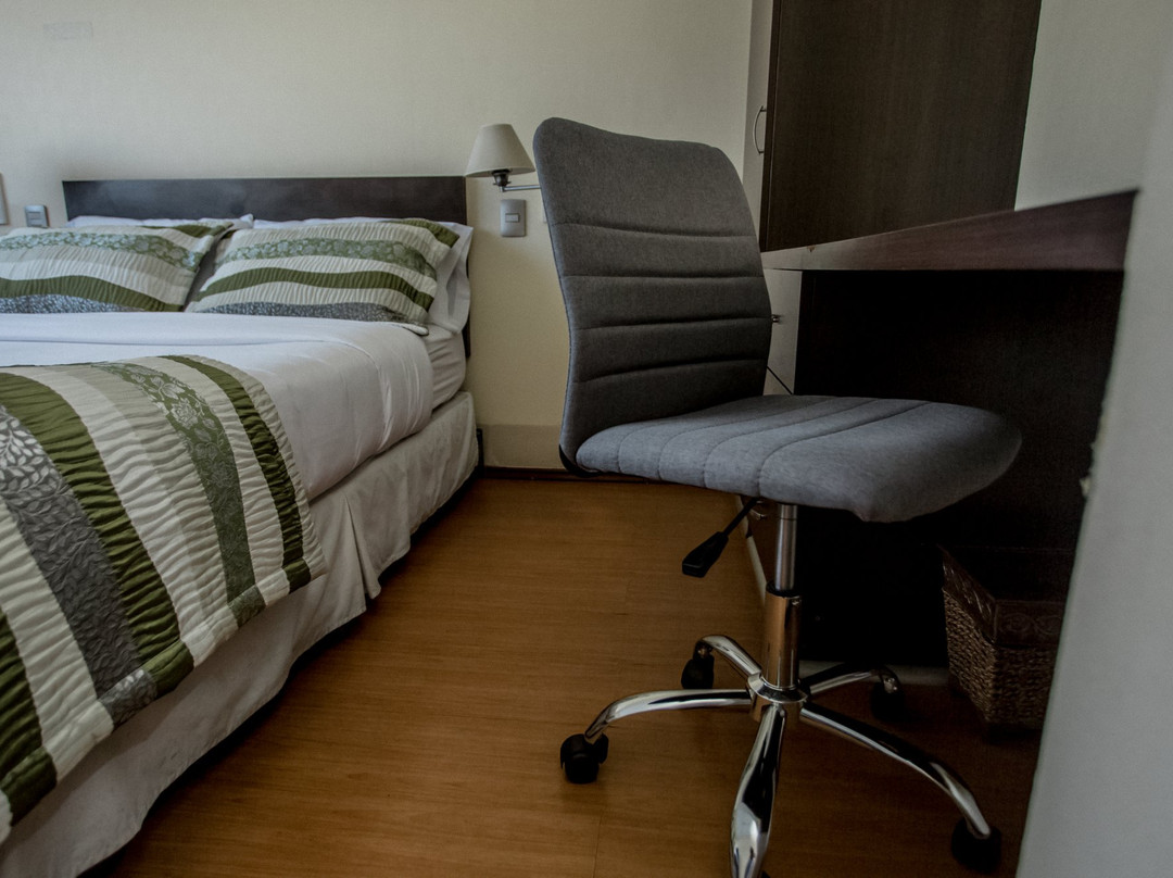 Hotel Capelli Express主图