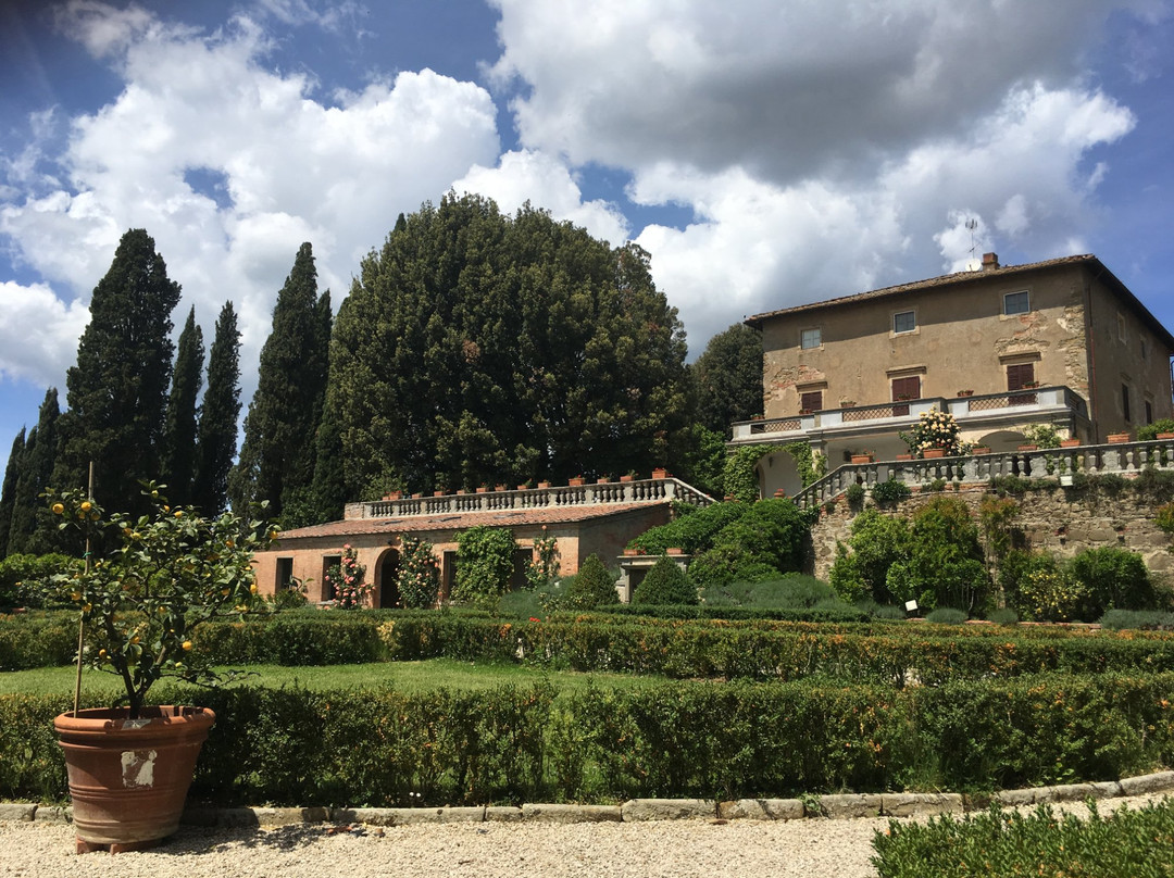 Vini di Toscana srl景点图片