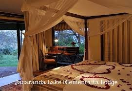 Jacaranda Lake Elementeita Lodge主图