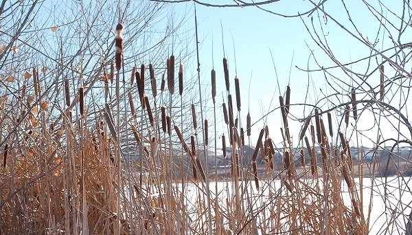 Quincy Reservoir-奥罗拉必去景点