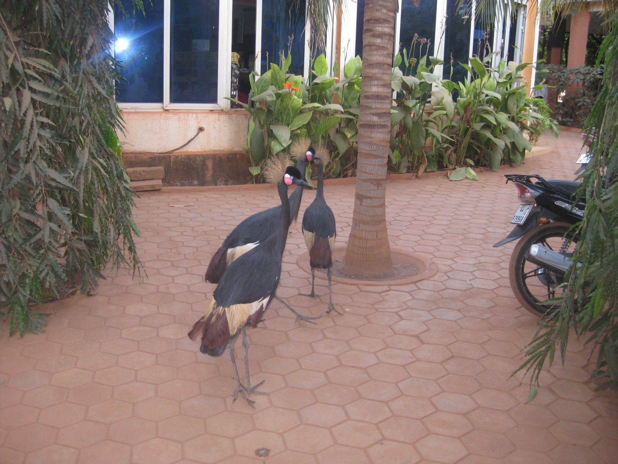 Pousga Hotel Annexe-浴室