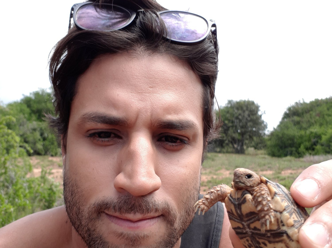 Addo Afrique Estate主图