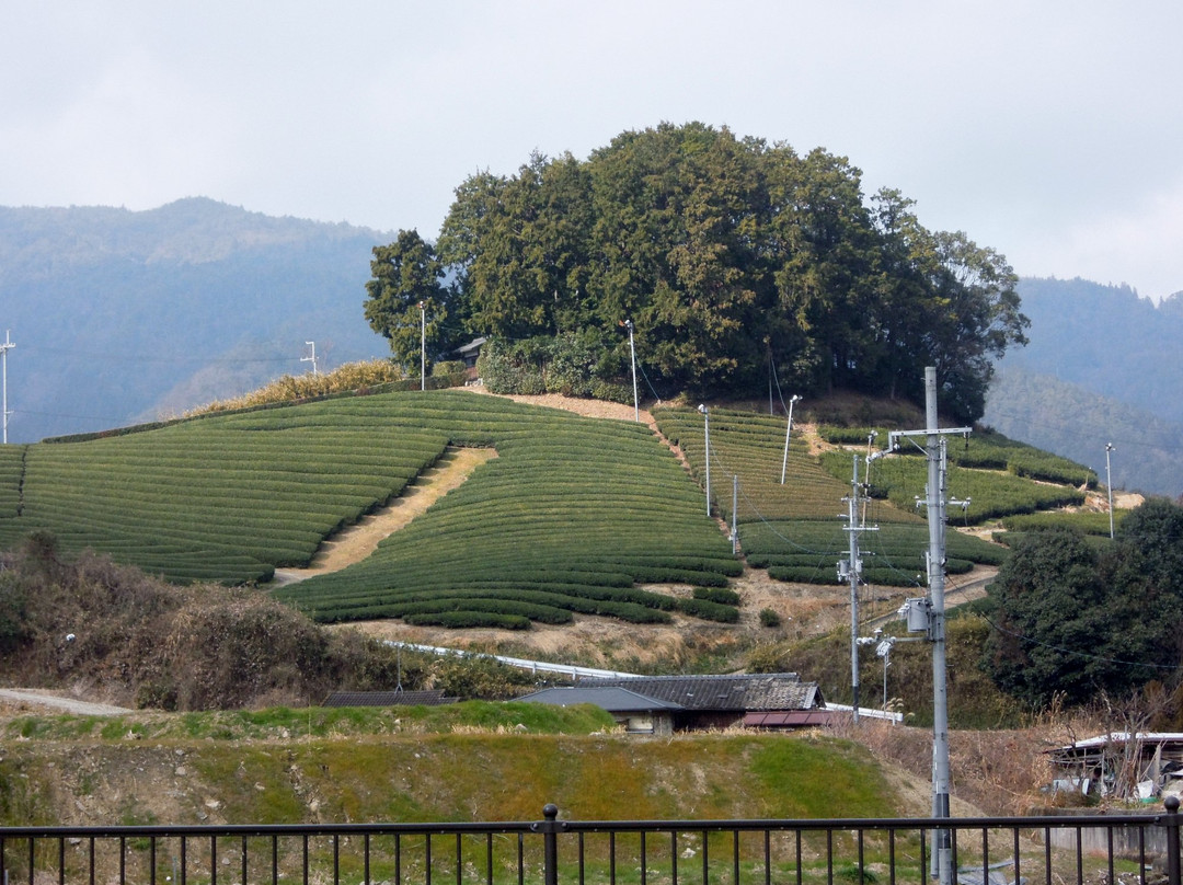 Asaka Shinno Tombs-和束町必去景点