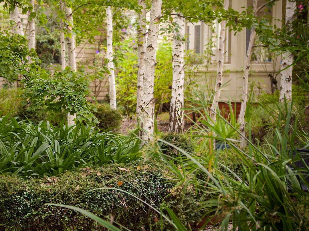 Erindale Guest House主图