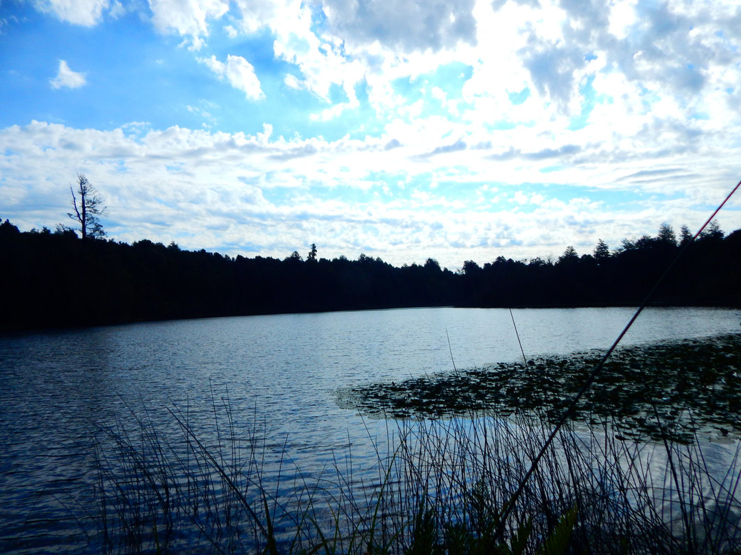 Termas y cabanas Aguas Calientes-Osorno必去景点
