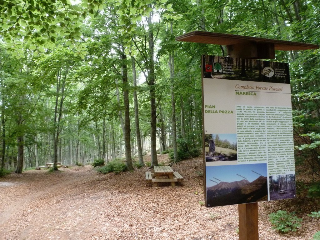 Foresta del Teso-Maresca必去景点